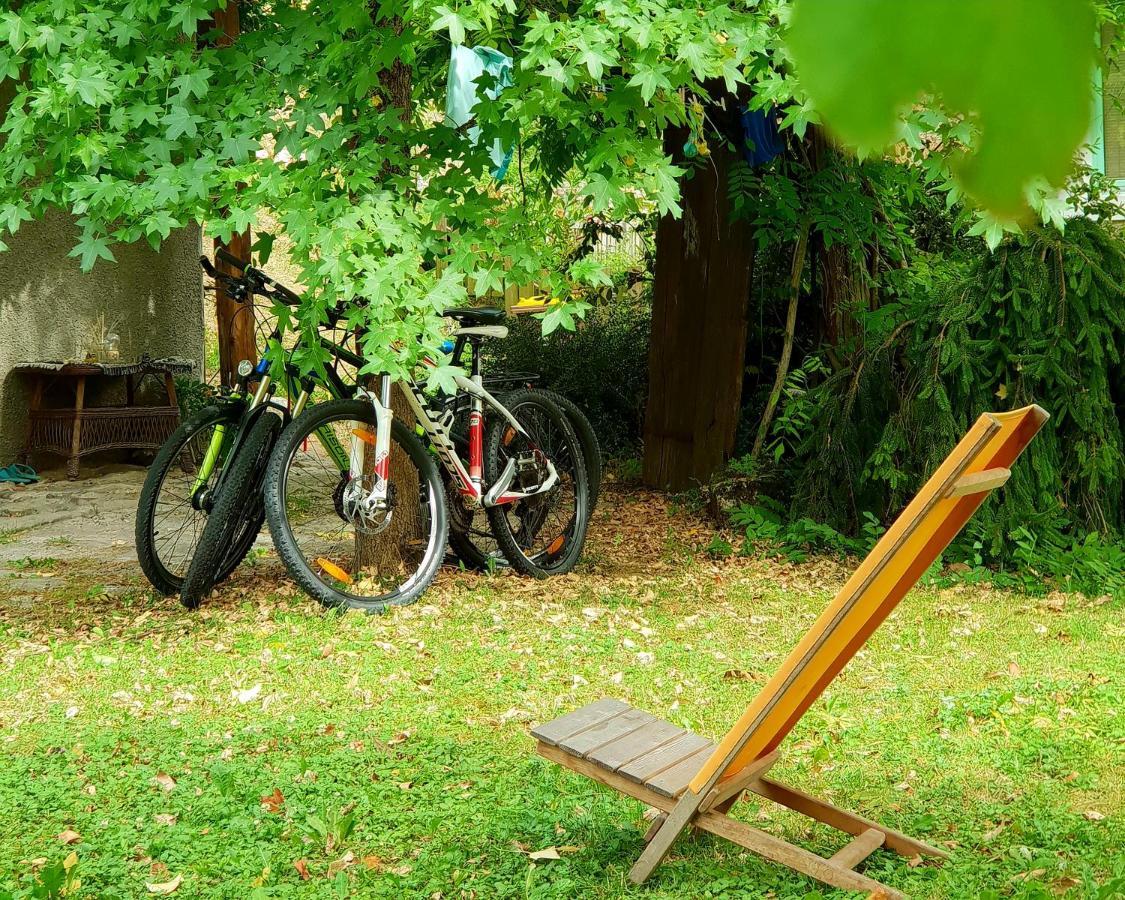 Vintage House Podliparska Pensionat Fara Eksteriør billede