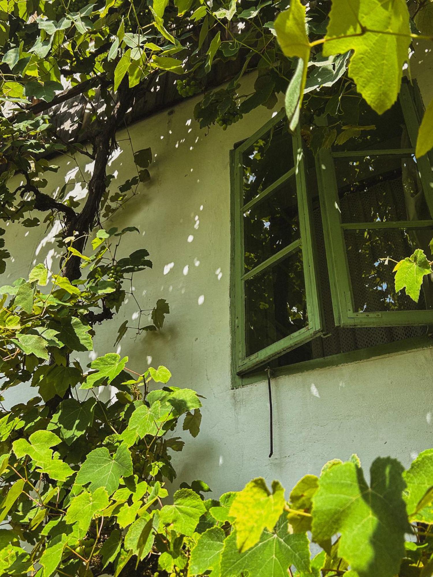Vintage House Podliparska Pensionat Fara Eksteriør billede