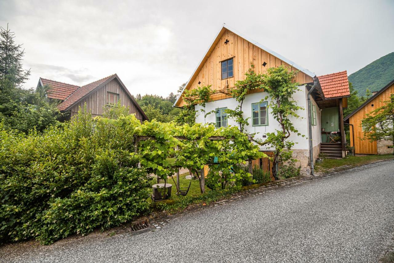 Vintage House Podliparska Pensionat Fara Eksteriør billede